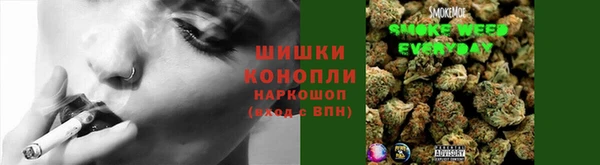 дживик Нея