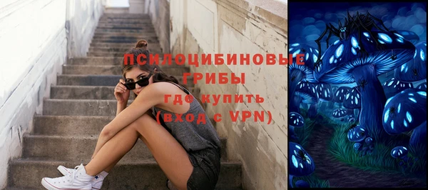 мдпв Нефтегорск