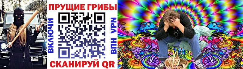 Галлюциногенные грибы Magic Shrooms  Сибай 