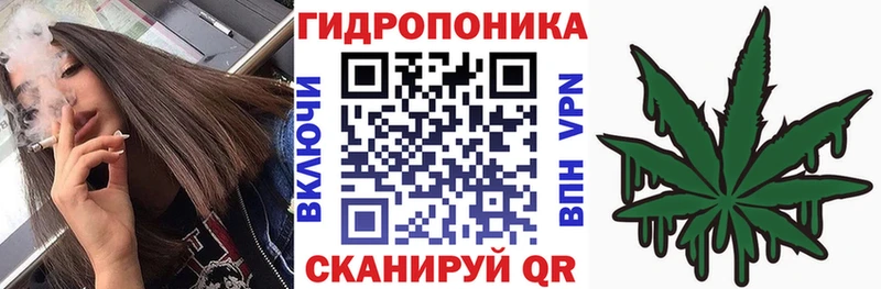 продажа наркотиков Сибай Шишки марихуана THC 21%